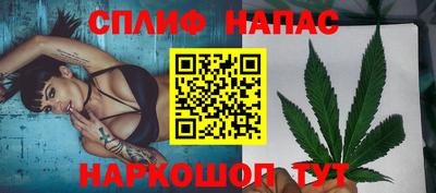 МДПВ Партизанск