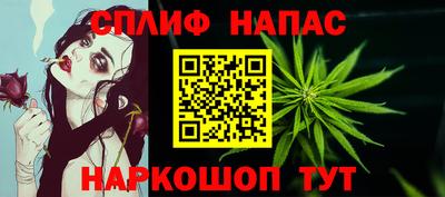 МДПВ Партизанск