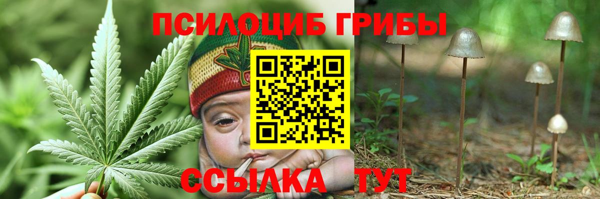 Бутират Обнинск